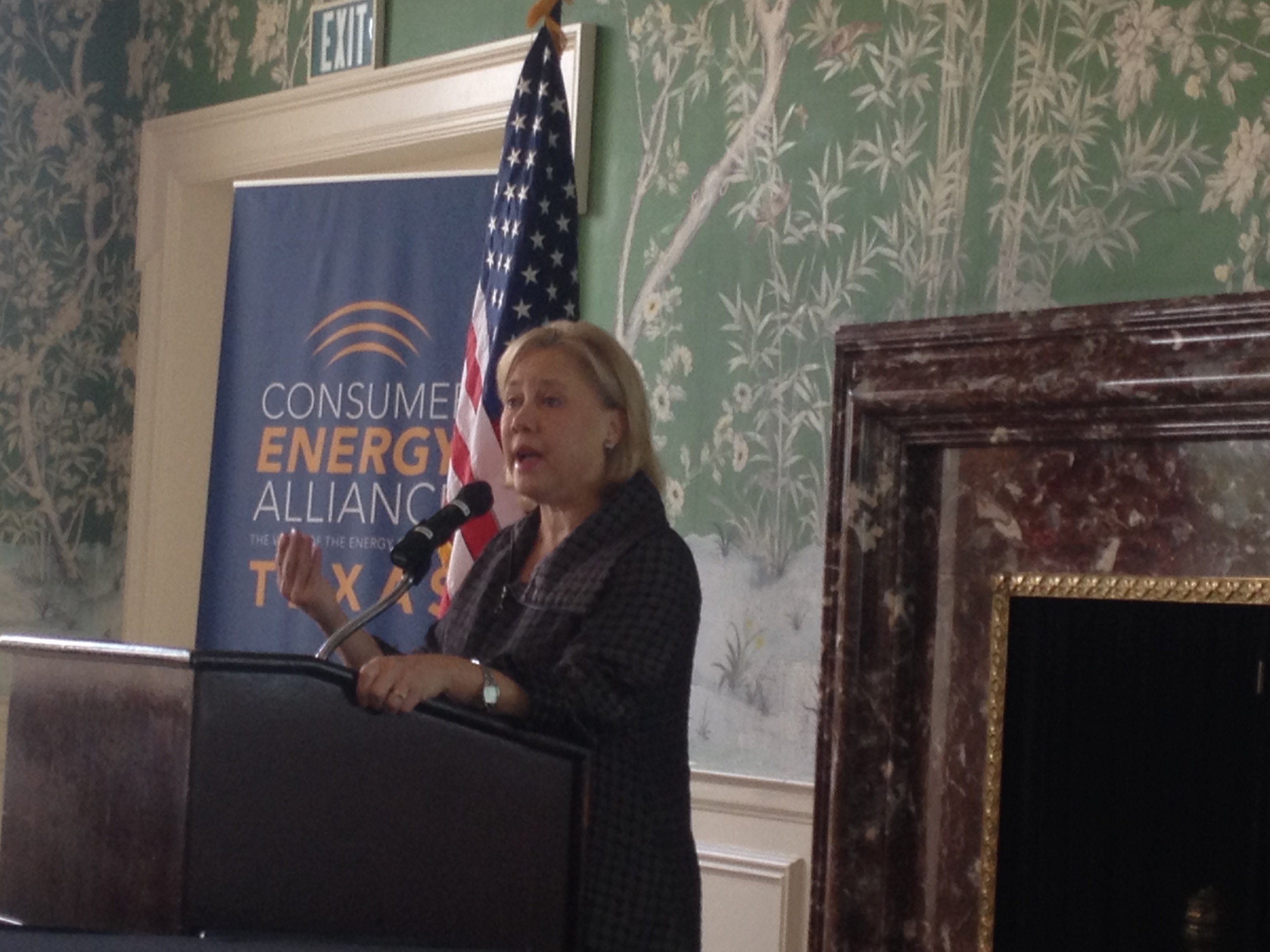 landrieu-talks-energy-with-cea-texas-consumer-energy-alliance