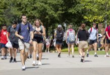 Students walking outside on a bright sunny day on campus