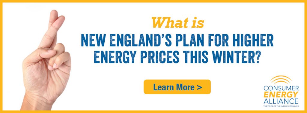 With some of the highest electricity prices in the nation, what is New England's plan this winter?