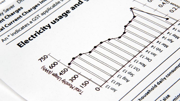 Family electric bill