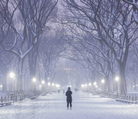 New York park in winter