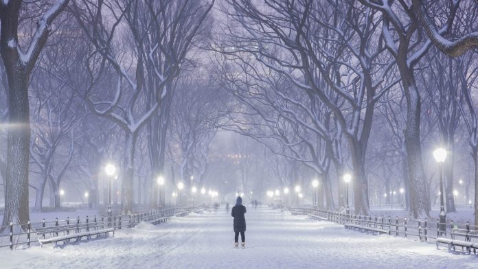 New York park in winter