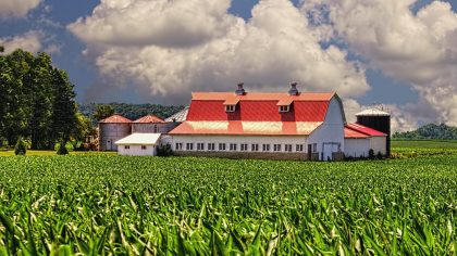 Farm in Ohio