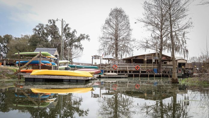 Louisiana bayou tours