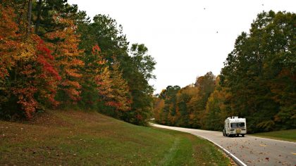 Traveling through Mississippi Forest