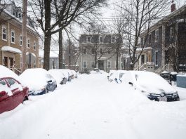 Winter Blizzard in the Northeast