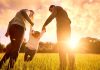 Family at Sunset