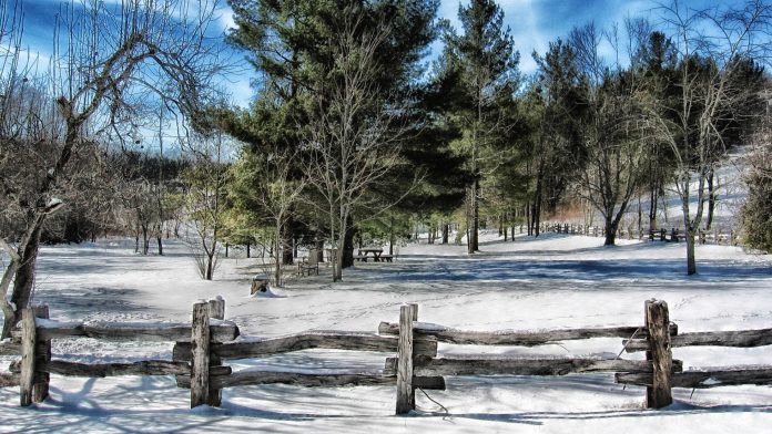 North Carolina in Winter