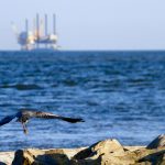 Offshore energy production in the Gulf of Mexico