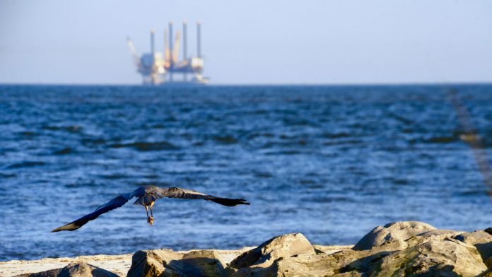Offshore energy production in the Gulf of Mexico