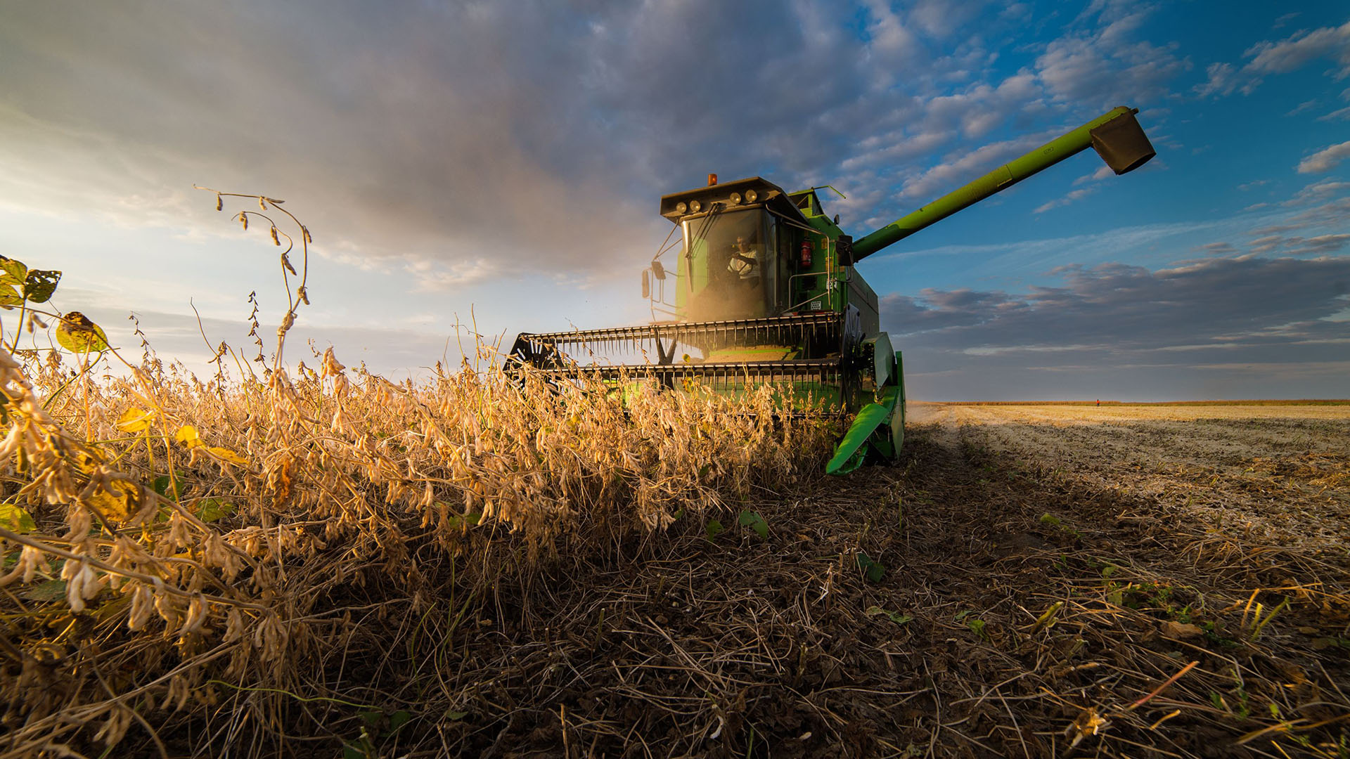 Combined fields. Поезд с пшеницей. Crop insurance. Soja.