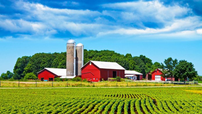 Farm in the Country