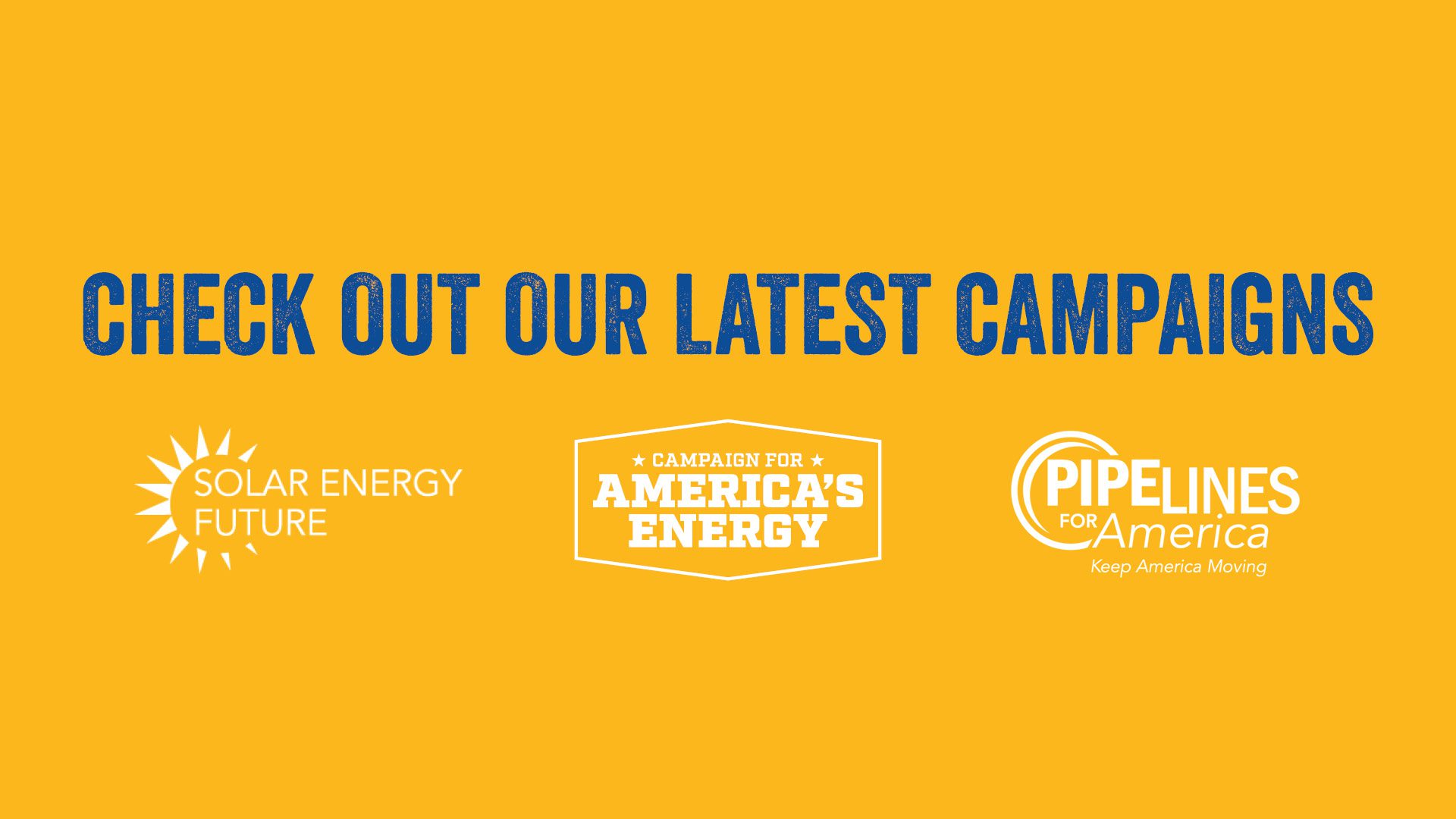 advocate-consumer-energy-alliance