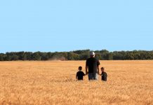 Agriculture: Father and Twin Sons in Wheat Field During Harvest