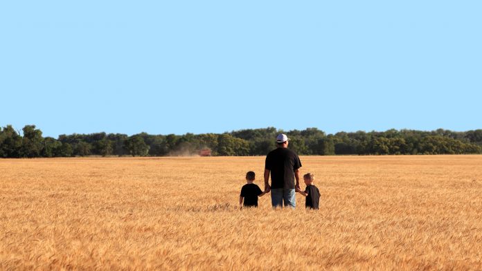 Agriculture: Father and Twin Sons in Wheat Field During Harvest