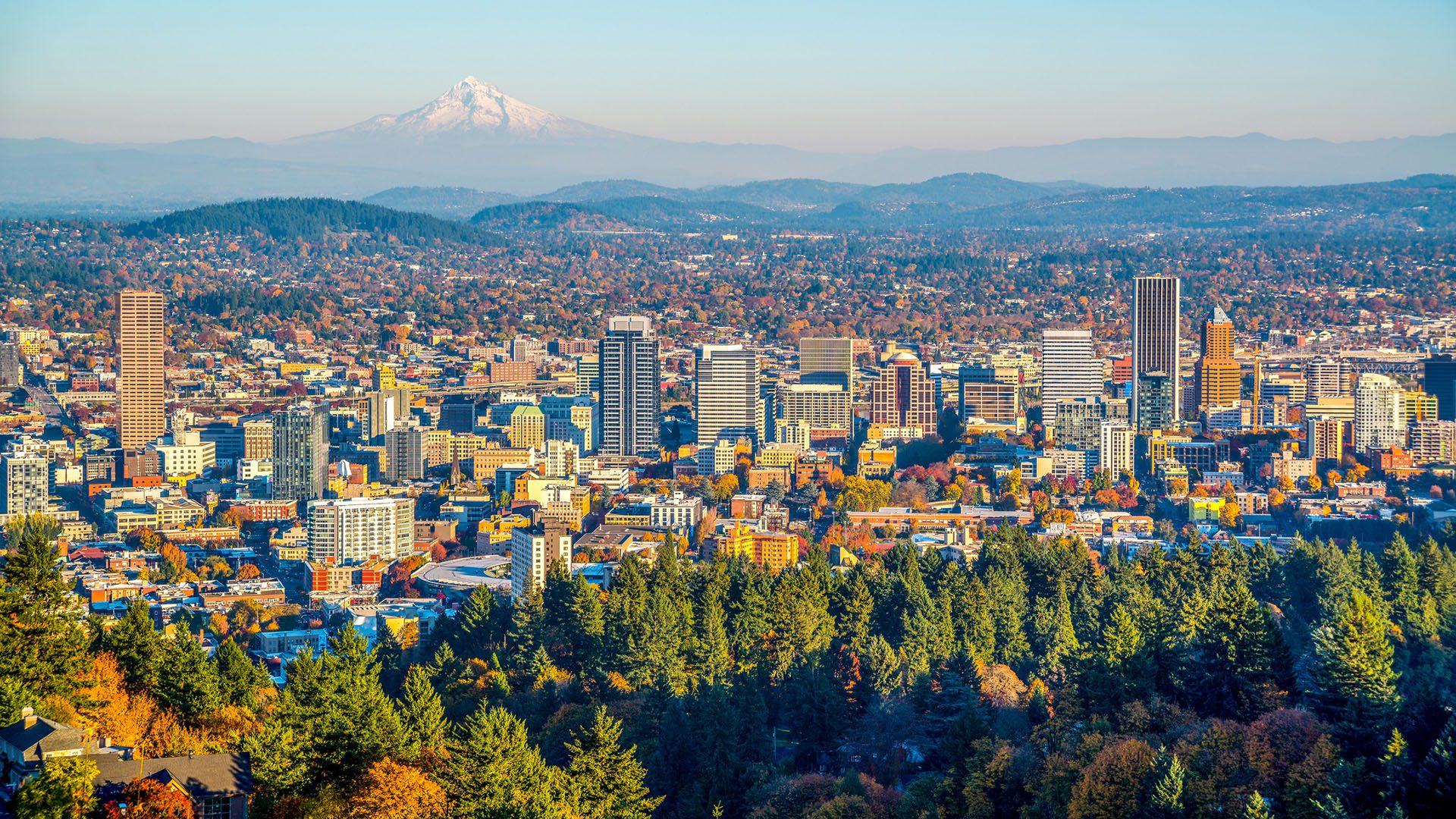 City of Portland Oregon and Mount Hood in Autumn Consumer Energy Alliance