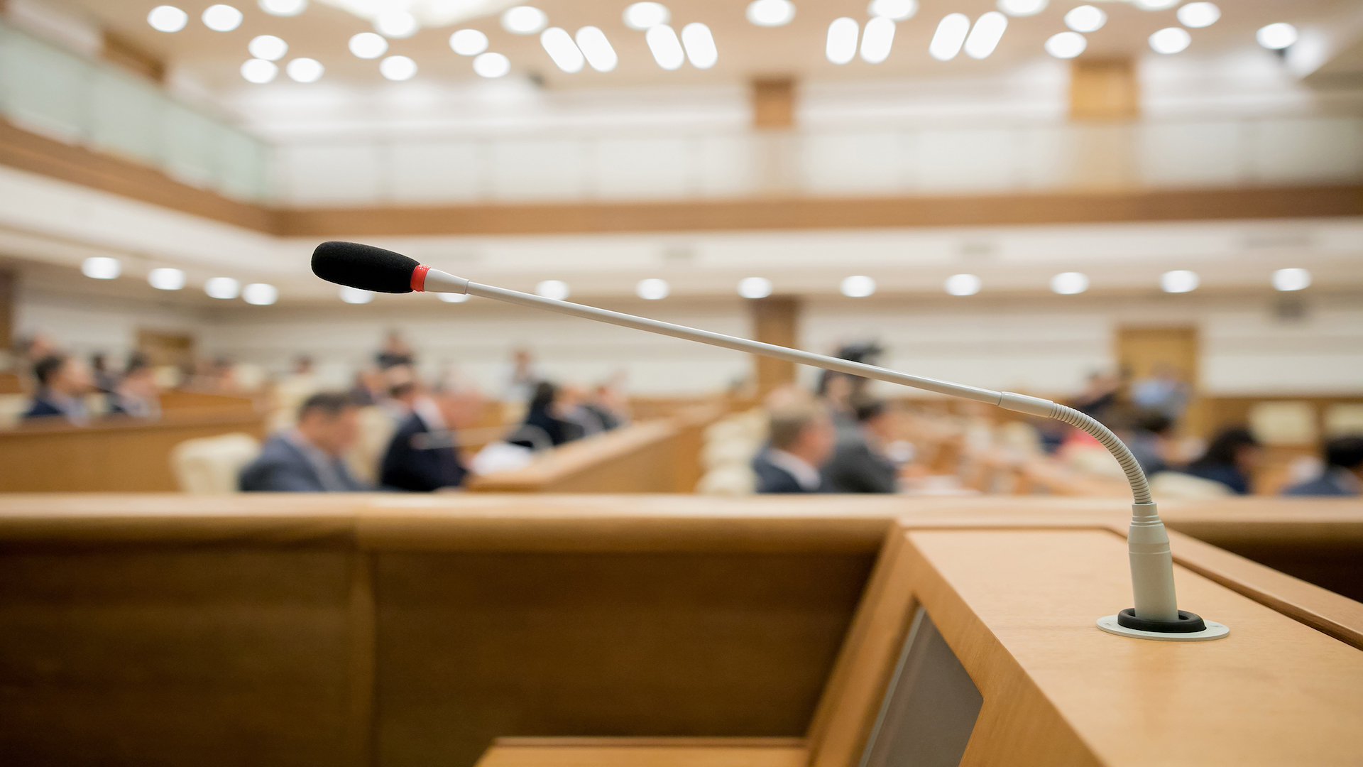 City Council Meeting
