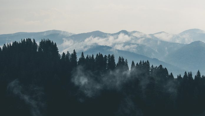 Clouds Over Mountain Forest