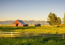 Summer sunset with a red barn in rural Montana and Rocky Mountains