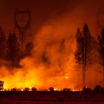 Forest Fire Smoke and Transmission Lines
