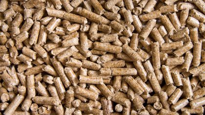 Wood pellets Biomass Pellets