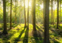 Leading Consumer Energy and Environmental Advocate Applauds South Jersey Industries’ New Clean Energy and Sustainability Plan earth day