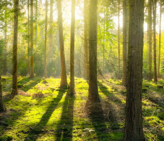 Leading Consumer Energy and Environmental Advocate Applauds South Jersey Industries’ New Clean Energy and Sustainability Plan earth day