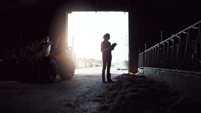 Early morning rounds on the farm