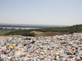 Recycling the Right Way recycling