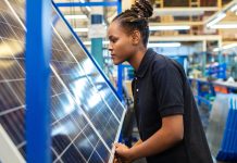 Quality engineer examining solar panels in factory