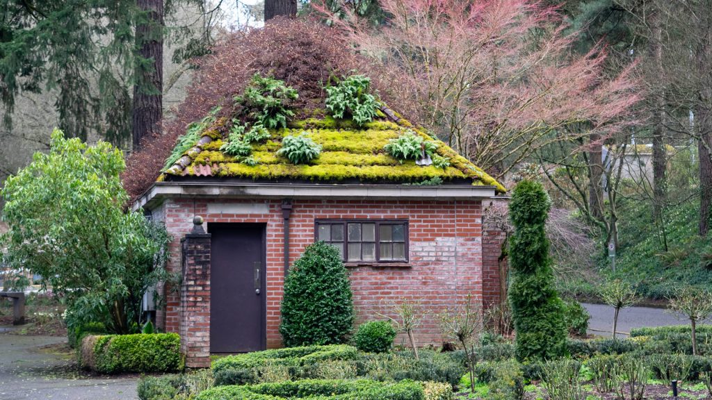 Old Park Building with Garden Roof