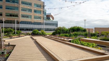 living roof