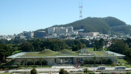 Living Roof