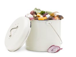 Kitchen Compost Pail for Homes