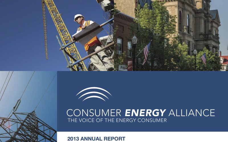2013_CEA_Annual_Report__v2_lowres