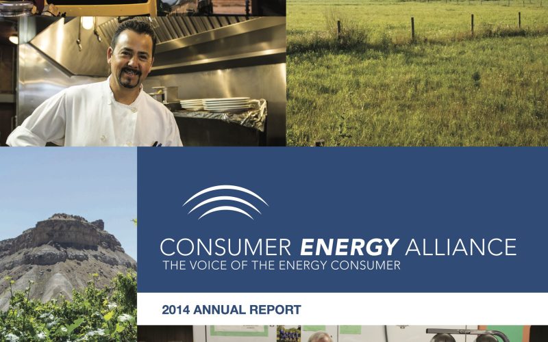 2014_CEA_Annual_Report_Final_HighRes