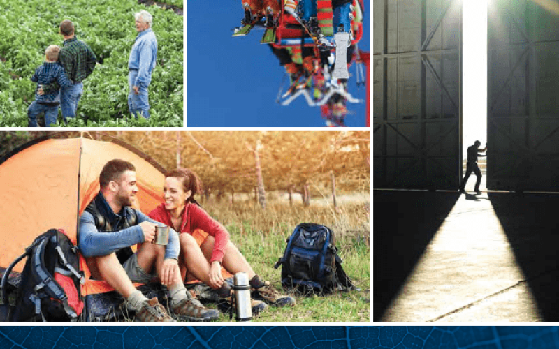 CEA 2017 Annual Report