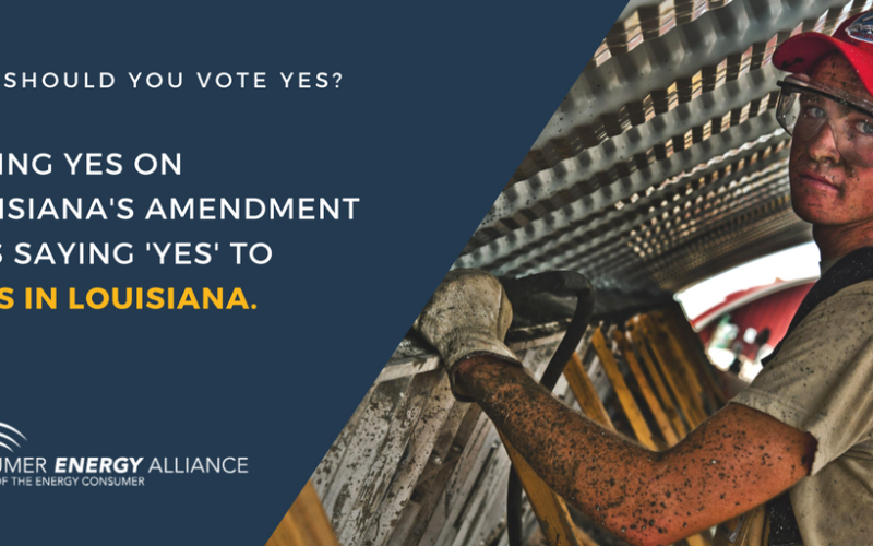 Vote Yes on Louisiana Amendment 1