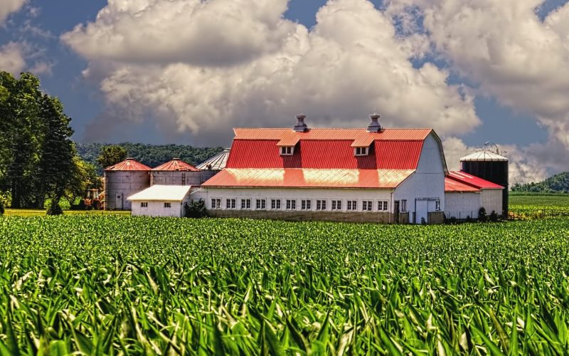 Farm in Ohio