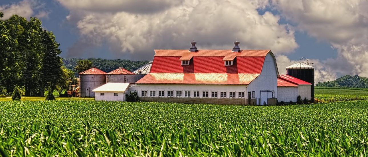 Farm in Ohio