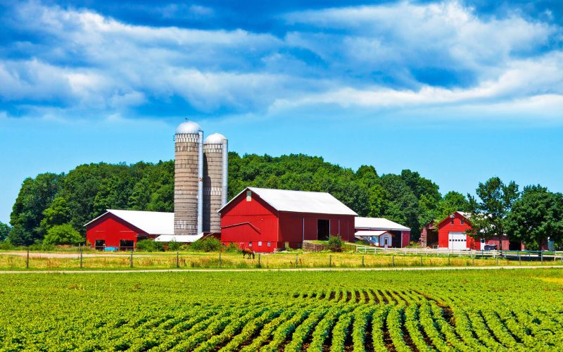 Farm in the Country