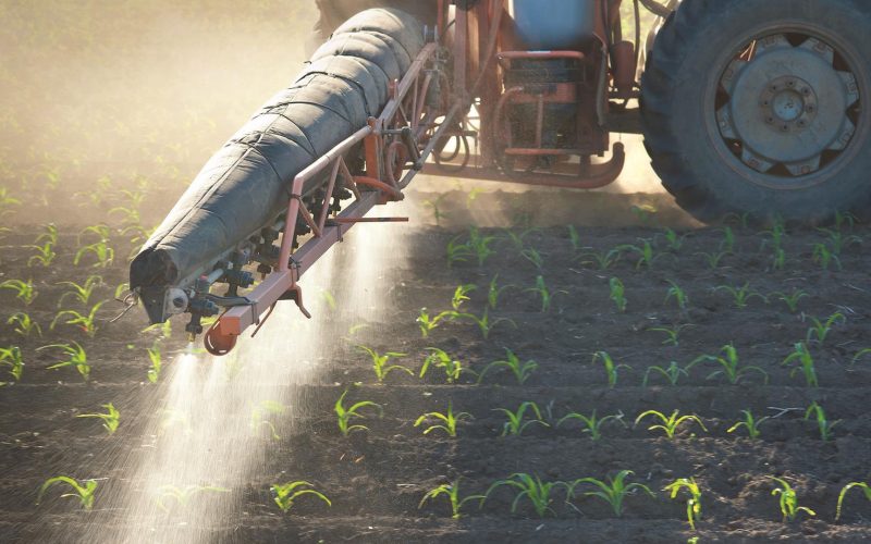 Tractor fertilizes crops corn in spring