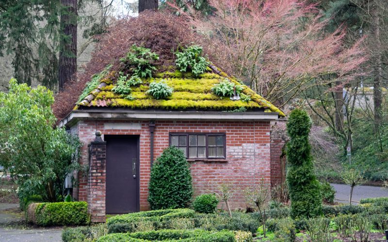 Old Park Building with Garden Roof