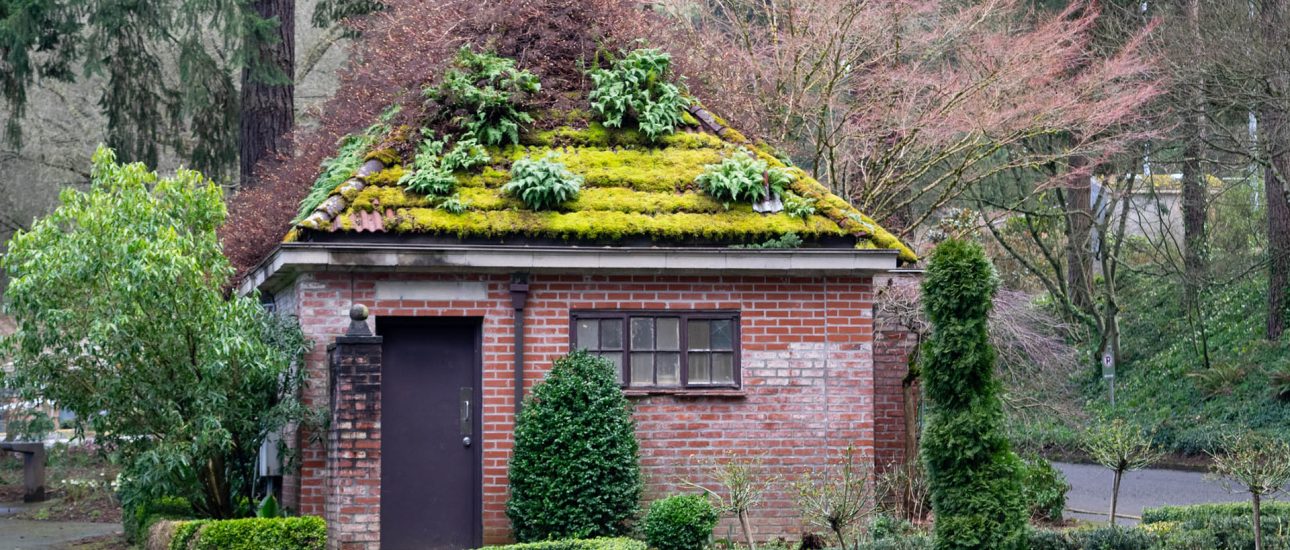 Old Park Building with Garden Roof