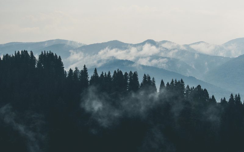 Clouds Over Mountain Forest