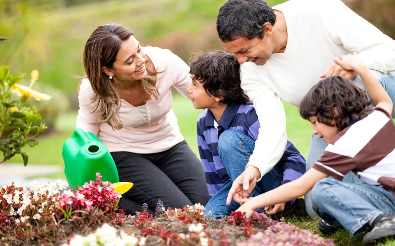 Family gardening