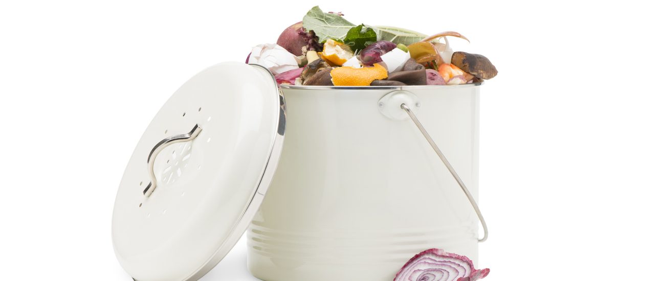 Kitchen Compost Pail for Homes