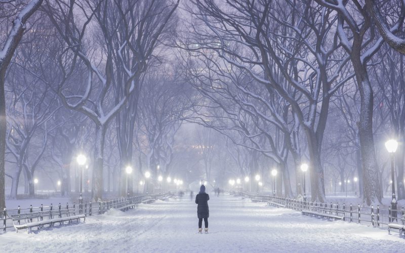 New York park in winter