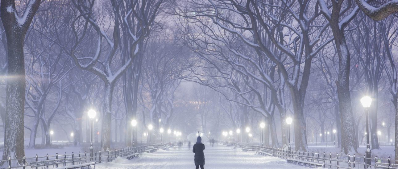 New York park in winter