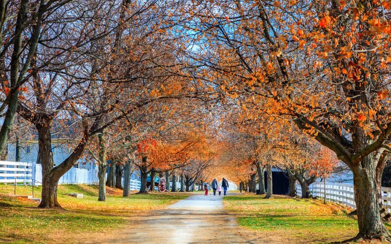 Family Walking in the Park